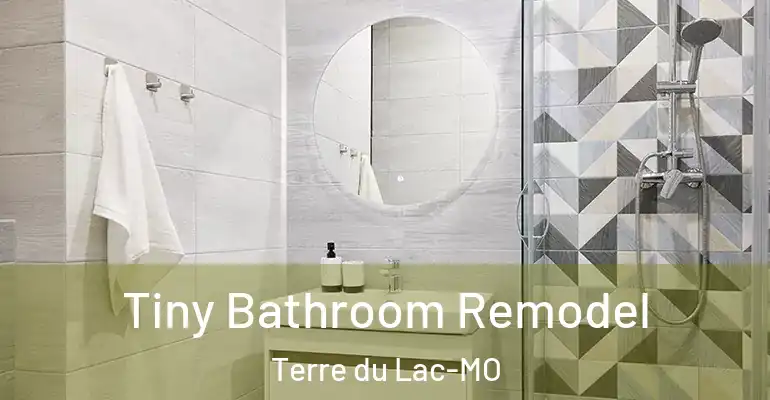inner Bathroom imggen Tiny Bathroom Remodel Terre du Lac-MO