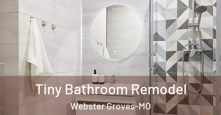 inner Bathroom imggen Tiny Bathroom Remodel Webster Groves-MO
