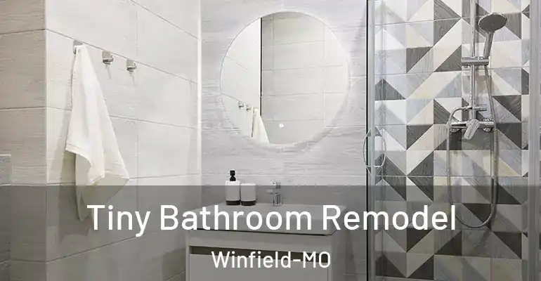 inner Bathroom imggen Tiny Bathroom Remodel Winfield-MO
