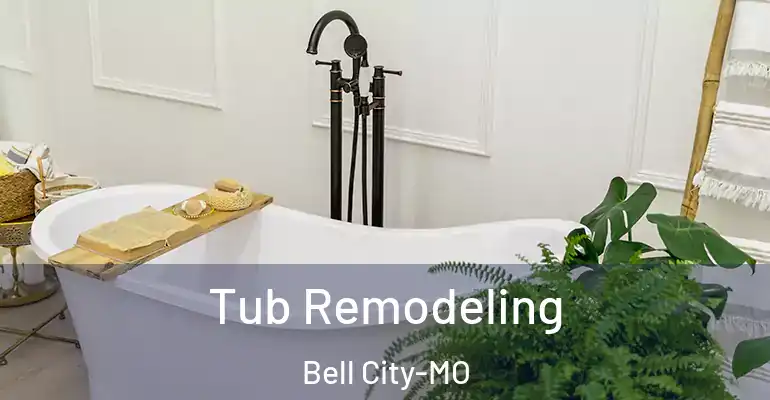 inner Bathroom imggen Tub Remodeling Bell City-MO