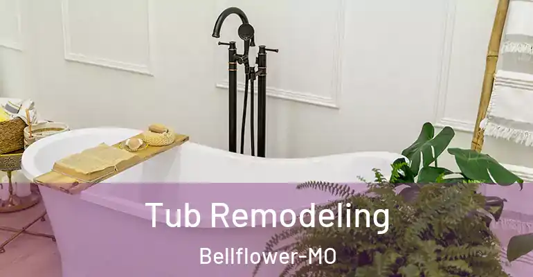 inner Bathroom imggen Tub Remodeling Bellflower-MO