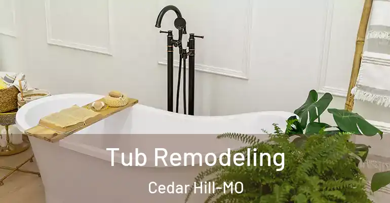 inner Bathroom imggen Tub Remodeling Cedar Hill-MO