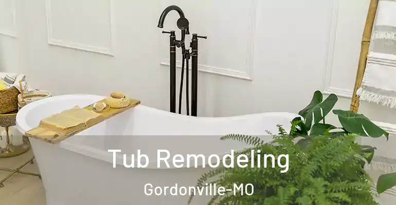 inner Bathroom imggen Tub Remodeling Gordonville-MO