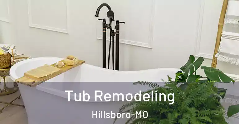 inner Bathroom imggen Tub Remodeling Hillsboro-MO