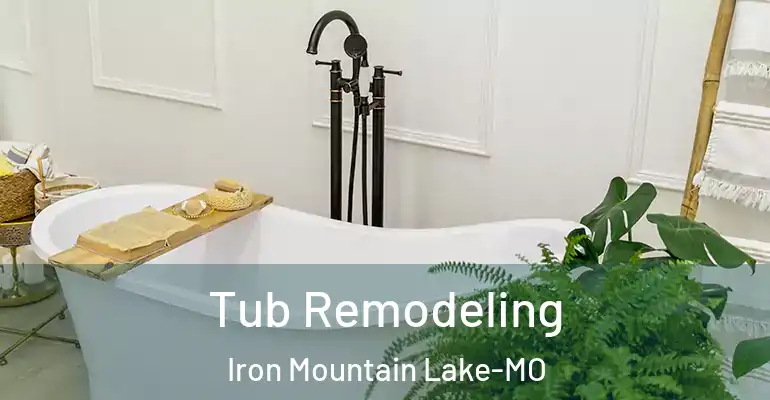 inner Bathroom imggen Tub Remodeling Iron Mountain Lake-MO
