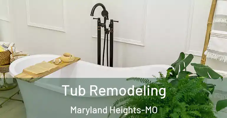 inner Bathroom imggen Tub Remodeling Maryland Heights-MO