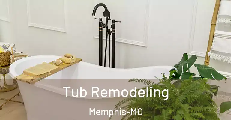 inner Bathroom imggen Tub Remodeling Memphis-MO