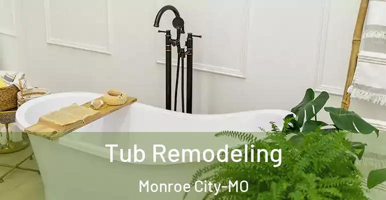 inner Bathroom imggen Tub Remodeling Monroe City-MO