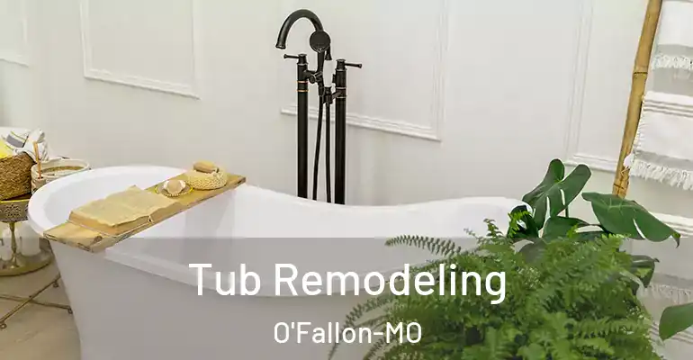 inner Bathroom imggen Tub Remodeling O'Fallon-MO