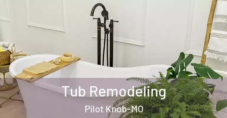 inner Bathroom imggen Tub Remodeling Pilot Knob-MO