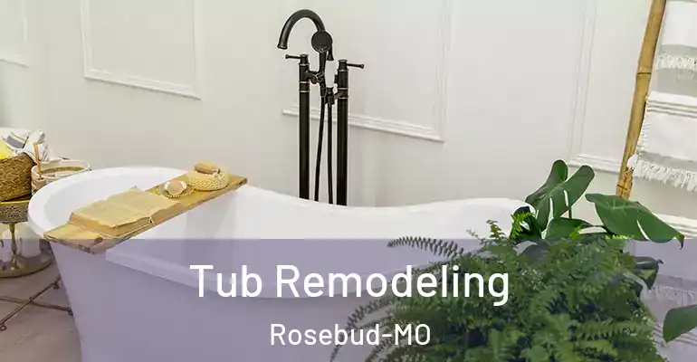 inner Bathroom imggen Tub Remodeling Rosebud-MO