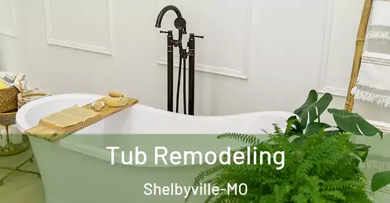 inner Bathroom imggen Tub Remodeling Shelbyville-MO