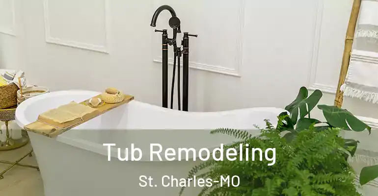 inner Bathroom imggen Tub Remodeling St. Charles-MO