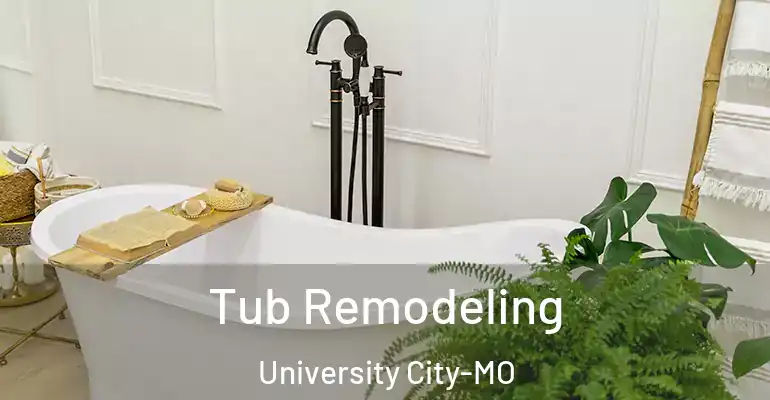 inner Bathroom imggen Tub Remodeling University City-MO