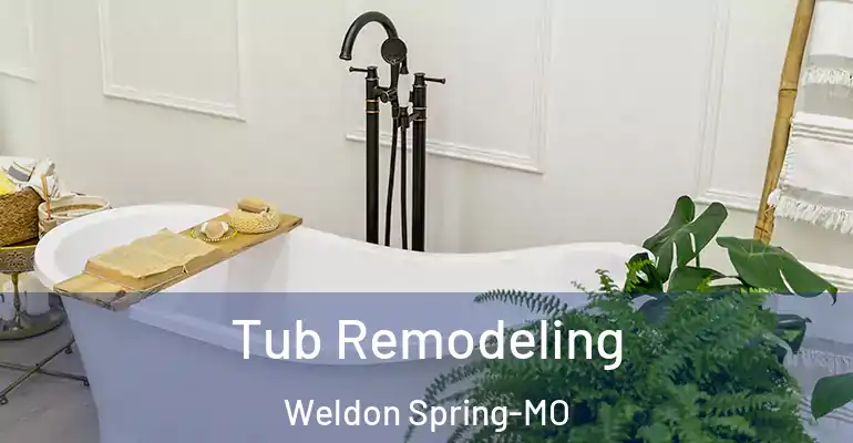 inner Bathroom imggen Tub Remodeling Weldon Spring-MO