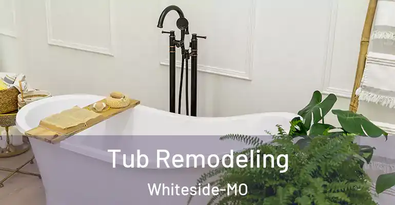 inner Bathroom imggen Tub Remodeling Whiteside-MO