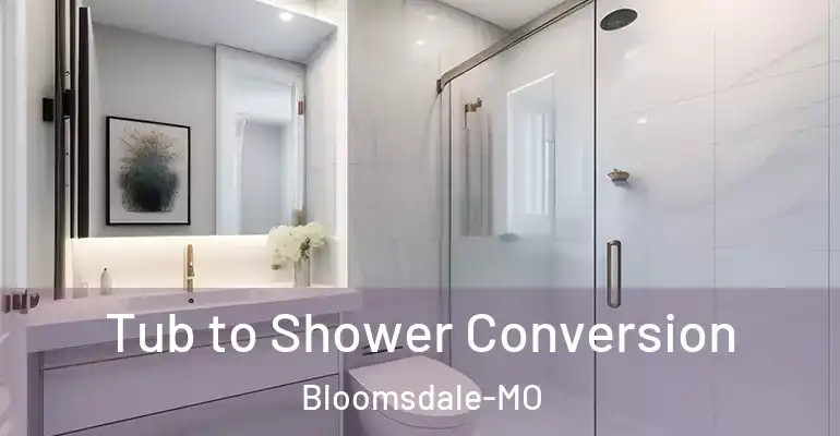 inner Bathroom imggen Tub to Shower Conversion Bloomsdale-MO