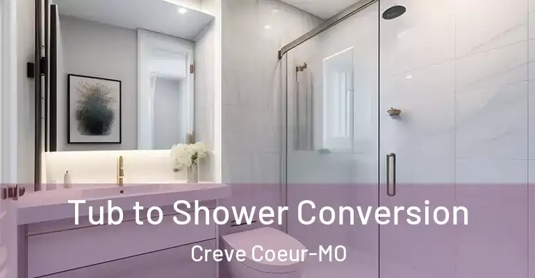 inner Bathroom imggen Tub to Shower Conversion Creve Coeur-MO