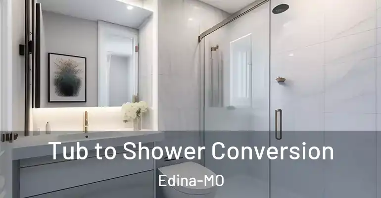 inner Bathroom imggen Tub to Shower Conversion Edina-MO