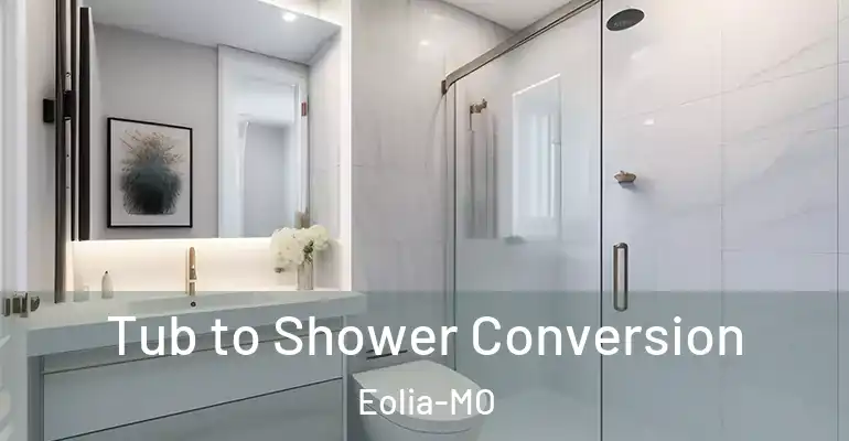 inner Bathroom imggen Tub to Shower Conversion Eolia-MO