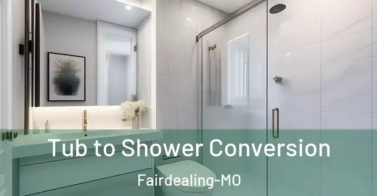 inner Bathroom imggen Tub to Shower Conversion Fairdealing-MO