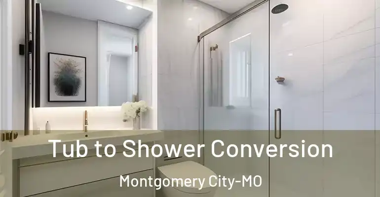 inner Bathroom imggen Tub to Shower Conversion Montgomery City-MO