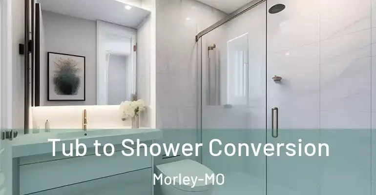 inner Bathroom imggen Tub to Shower Conversion Morley-MO