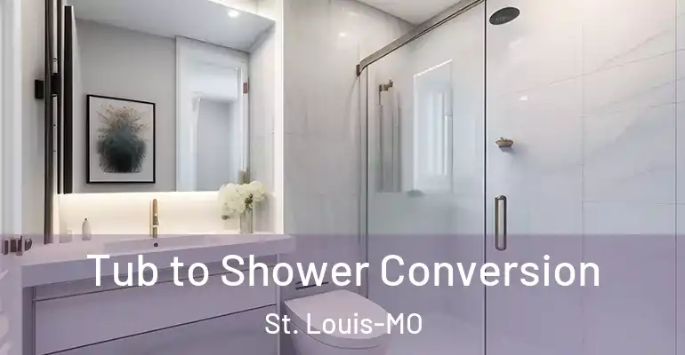 inner Bathroom imggen Tub to Shower Conversion St. Louis-MO