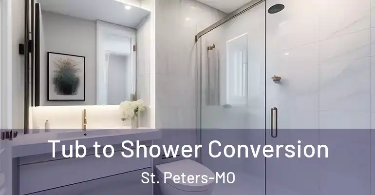 inner Bathroom imggen Tub to Shower Conversion St. Peters-MO
