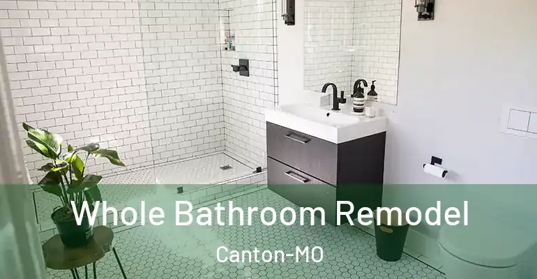 inner Bathroom imggen Whole Bathroom Remodel Canton-MO