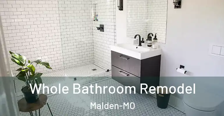 inner Bathroom imggen Whole Bathroom Remodel Malden-MO