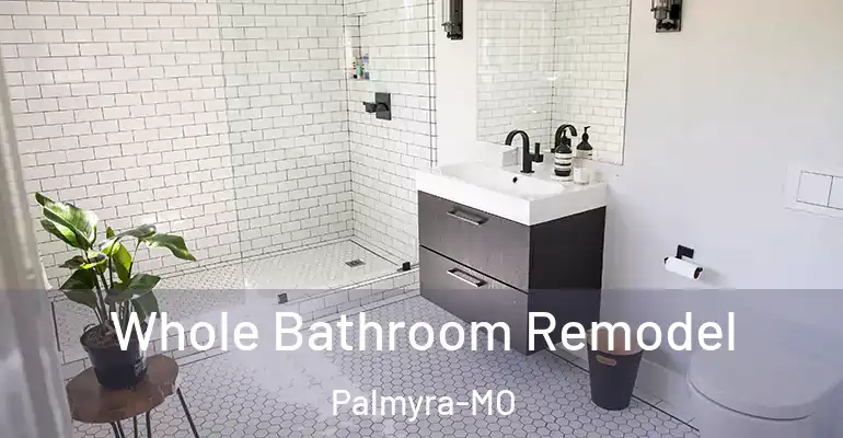inner Bathroom imggen Whole Bathroom Remodel Palmyra-MO