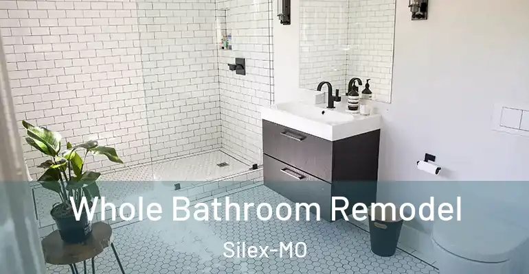 inner Bathroom imggen Whole Bathroom Remodel Silex-MO